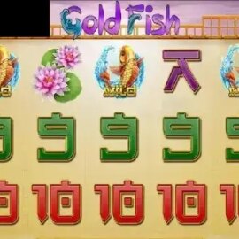 Gold Fish (XIN Gaming)