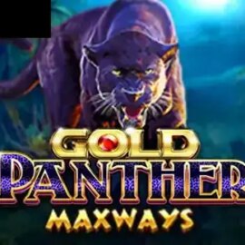 Gold Panther Maxways