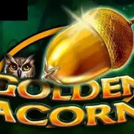 Golden Acorn