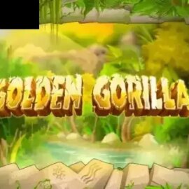 Golden Gorilla