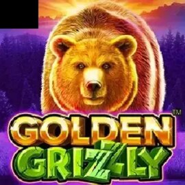 Golden Grizzly