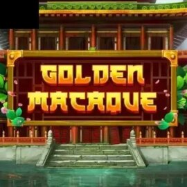 Golden Macaque