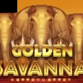 Golden Savanna