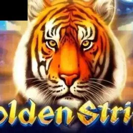 Golden Stripe