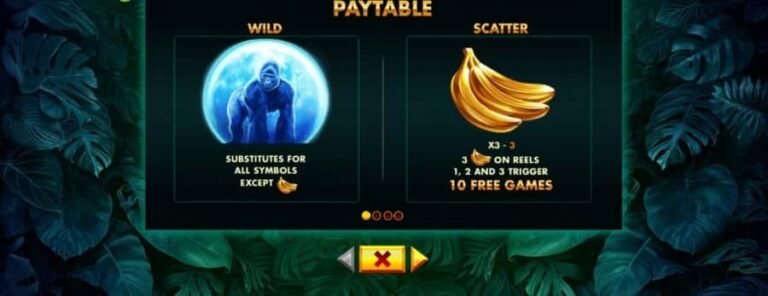 Gorilla Moon