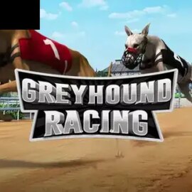 Greyhound Racing