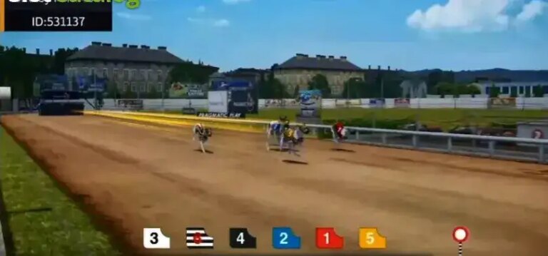 Greyhound Racing