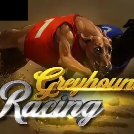 Greyhound Racing (Urgent Games)