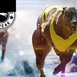 Greyhounds Streak