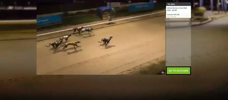 Greyhounds Streak