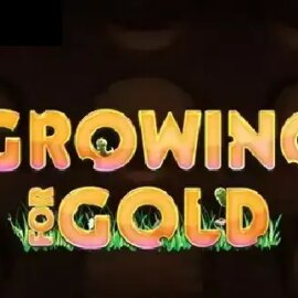 Growing for Gold