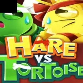 Hare vs. Tortoise