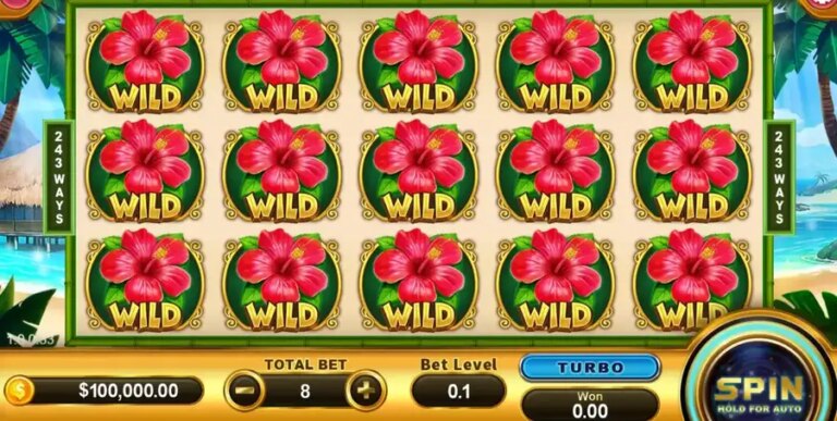 Hawaii (Funky Games)