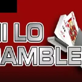 Hi Lo Gambler