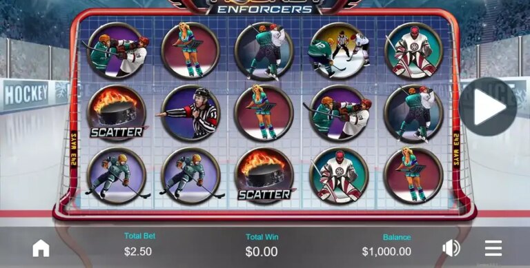 Hockey Enforcers