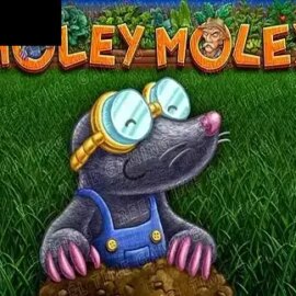 Holey Moley