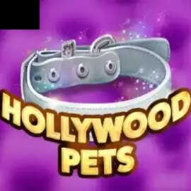 Hollywood Pets