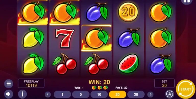 Hot Coins & Fruits 243