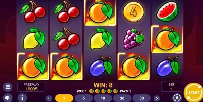 Hot Coins & Fruits 243