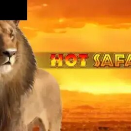 Hot Safari