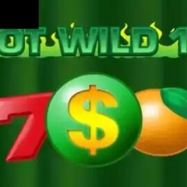 Hot Wild 10