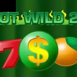 Hot Wild 20