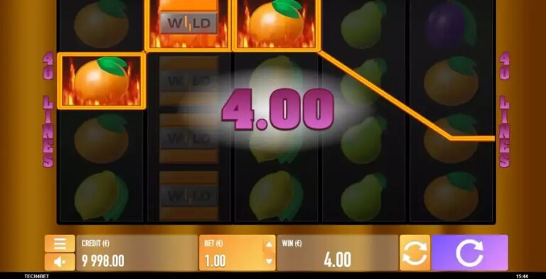 Hot Wild 40