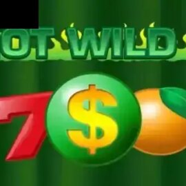 Hot Wild 5