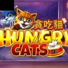 Hungry Cats