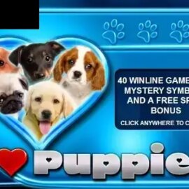 I Heart Puppies