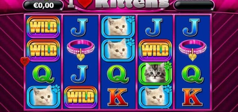 I Love Kittens
