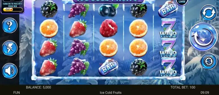 Ice Cold Fruits