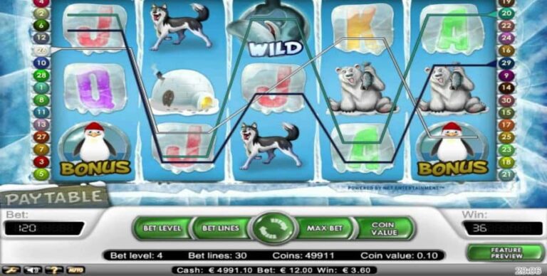 Icy Wonders