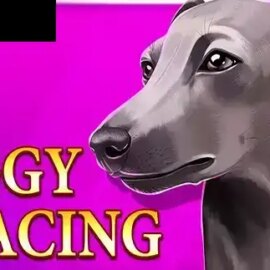 Iggy Racing