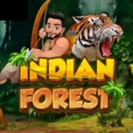 Indian Forest