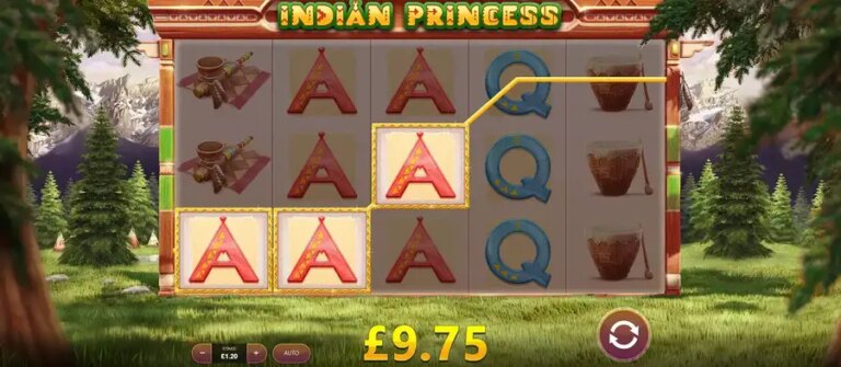 Indian Princess