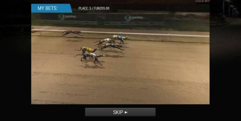 Instant Virtual Greyhounds