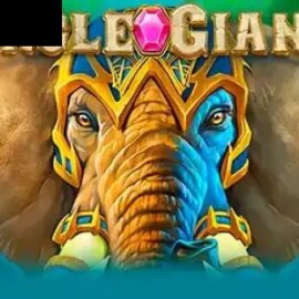 Jungle Giants