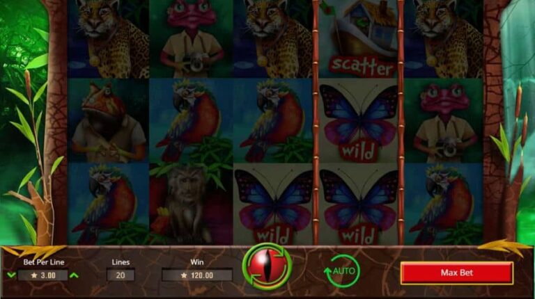 Jungle Jumpers