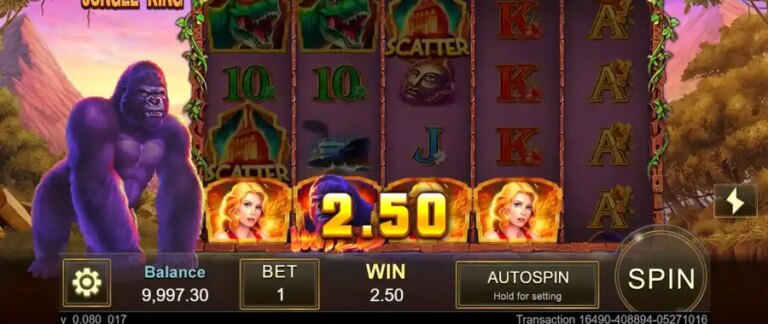 Jungle King (Jili Games)