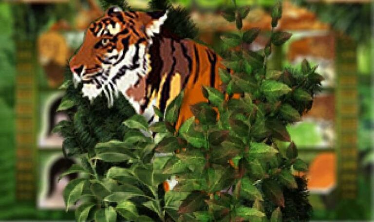 Jungle (esball)