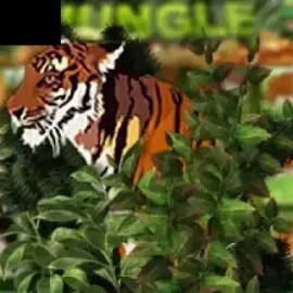 Jungle (esball)
