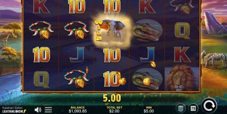 Kalahari Safari