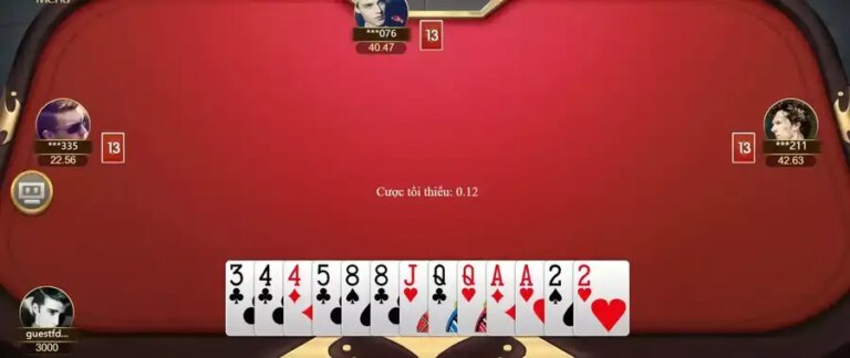 Killer 13