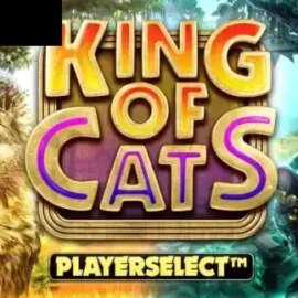 King of Cats