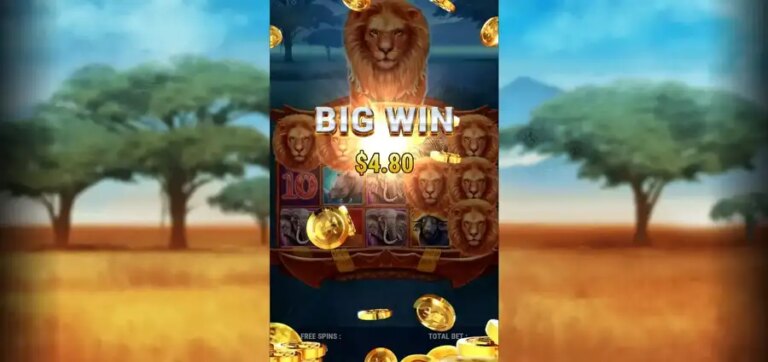 King of Safari