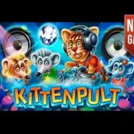 Kitten Pult