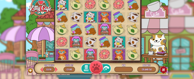 Kitty Cafe