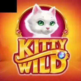 Kitty Wild