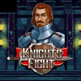 Knights Fight